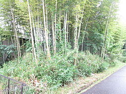 伊賀市猪田の竹林　約41坪