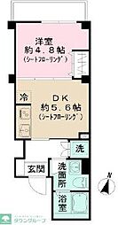 シャインピーチ