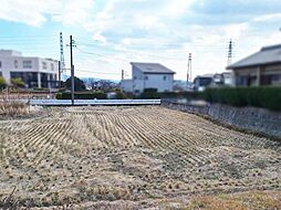 西尾市戸ケ崎町広美2　1号地