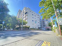 ライオンズプラザ花小金井 402