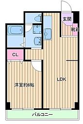 ツイン・コート W503