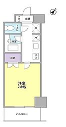 サンフラワー第6 0905