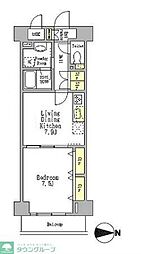 フォンテ　オット 503