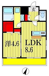 金太郎ヒルズ215