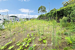 売地　鎌倉市常盤　4区画