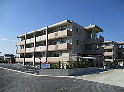 ローズマリーＢ 303