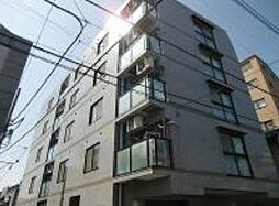 パレスチャコール 501