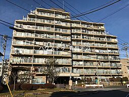 グリーンシティバームハイツ河辺