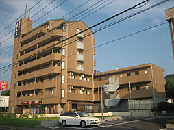 メイプルエイト 503