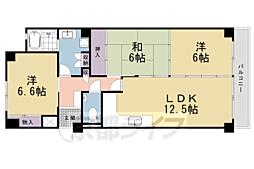 京都市中京区新町通丸太町下る大炊町