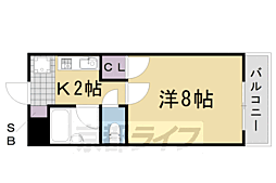 フルートファルシード 305