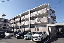 アセーラC館 203