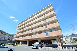 プリムローズ 403