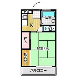 コスモス18 106