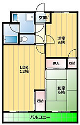 カーサ・グランデ 206