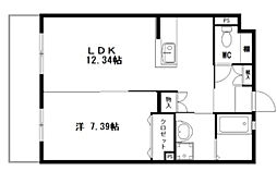 グランストーク西島 502
