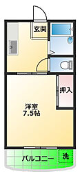 パレスカトレア 306