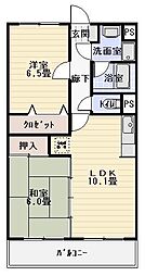 アピオン 203