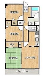 グランディオールシラトリ 305
