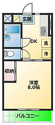 コスモス 105