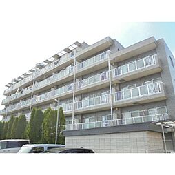 相模原市緑区橋本７丁目