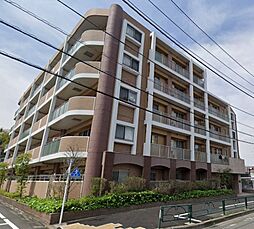 八王子市松木
