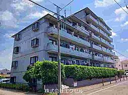 相模原市緑区橋本５丁目