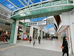 「相模原」駅　歩14分　相模原市中央区すすき野町　1号棟