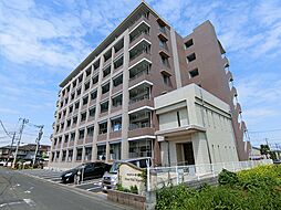 フォレストフィールドのがみ 301