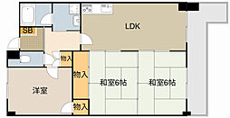 チェリーコート