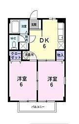 ファーストコアラ