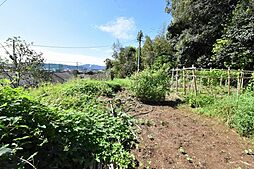 中郷町字平原　土地