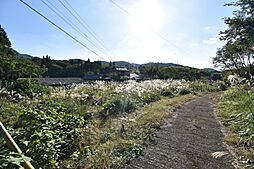 川永野町字打落　土地