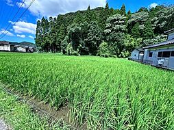 霧島市国分川内