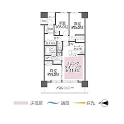 シティタワー金町　タワー棟