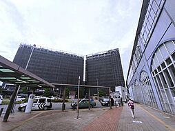ザ・ライオンズ三郷中央　当社グループ会社保有住戸 213