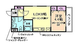 Ｐｒｉｍａｖｅｒａ　Ｈｉｌｌｓ