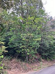 浜松市浜名区引佐町川名の土地