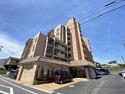 シャトレ愛松白山