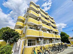 イエローエンバシー 503