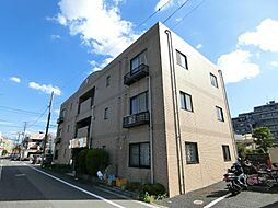 プリムローズ 302