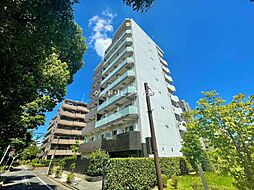 ライジングプレイス綾瀬三番館 304
