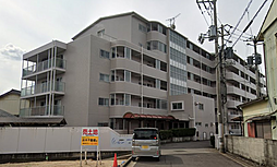 アイランド・グレース城南