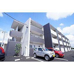 ピエールオリジン 303