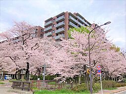 桜堤庭園フェイシアW棟