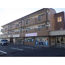 メロン宇佐美 307