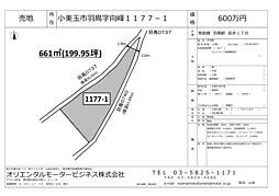 向峰1177-1