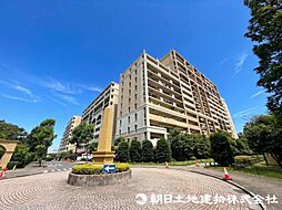 レイディアントシティ向ヶ丘遊園フランス街区