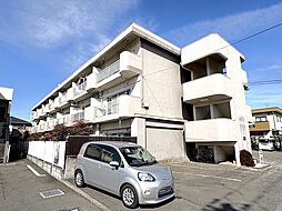 マンション築地 302