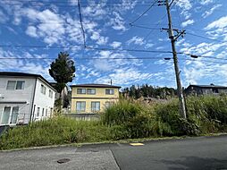 日吉町胡麻猫鼻土地